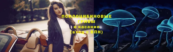jwh Горно-Алтайск